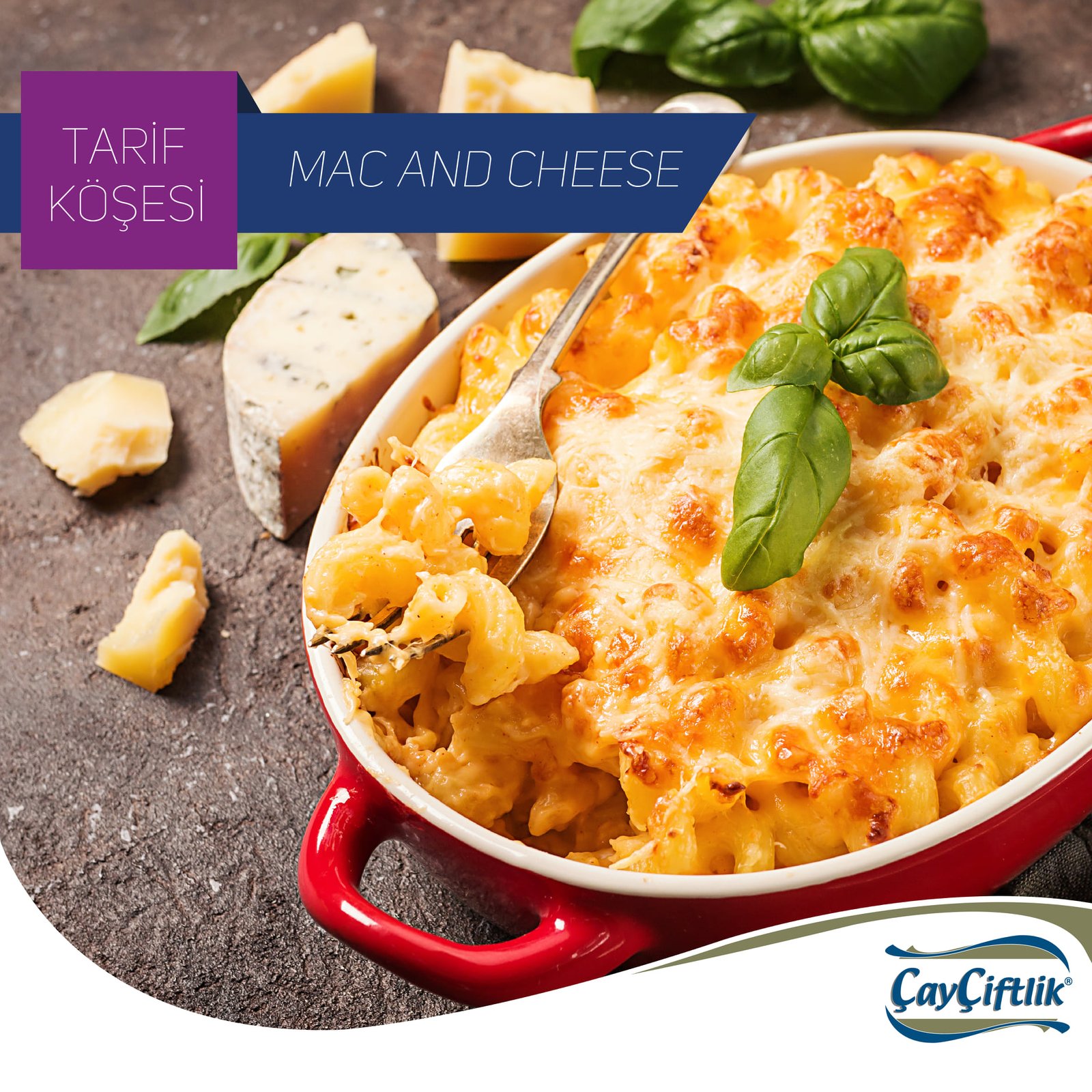 MAC AND CHEESE