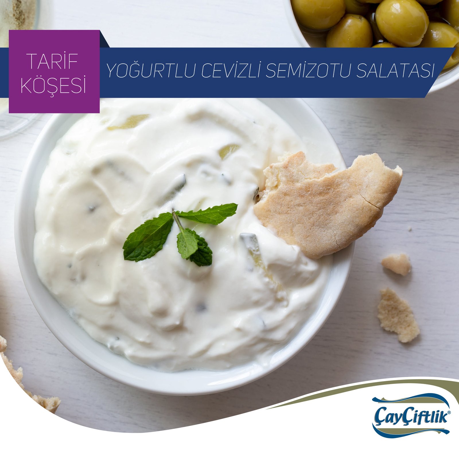 YOĞURTLU CEVİZLİ SEMİZOTU SALATASI
